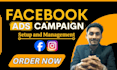do set up facebook ads campaign for USA