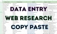 do data entry, copy paste, web research, pdf to word