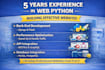 build professional python django or flask websites