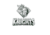 high quality baseball team logo design