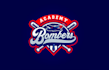 modern dominate field logo