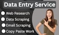 excel data entry, web research, copy paste, email scraping and data collection