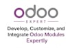 develop, customize, and integrate odoo modules expertly