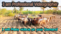 make 4k animal and cinematic videos on your demand
