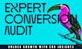 complete a cro website audit to increase sales