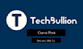 write and publish your article on techbullion