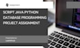 script java python  database programming project assignment
