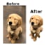 make your images have a transparent background and turn them into png