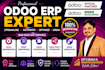 implement, customize and develop odoo erp for your business