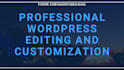 do professional wordpress editing and customization