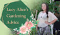 teach you how to look after your plants