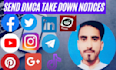 send dmca takedown notices to remove pirated,illegall,leaked,defaming content