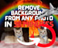 remove the background from your photos with fast turnaround