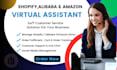 be your shopify virtual assistant, customer service
