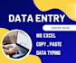 do perfect excel data entry, copy paste, typing, data entry with guarantee
