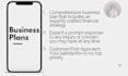 write a professional business plan with a comprehensive financial strategy