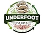 design a professional modern mushroom logo