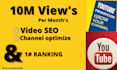 manage your channel and  video SEO section