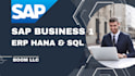 be your techno functional consultant in sap business one