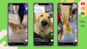 create ugc dog content for tiktok or video ads