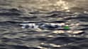 create realistic ocean water logo animations in 2hours