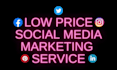 be your social media manager through fb ig pinterest linkedin twitter marketing