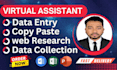 be your virtual assistant to do data entry, copy paste and web research