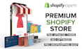 launch your professional shopify dropshipping store
