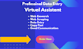 do data entry expert virtual assistant ms office