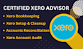 do setup, clean up, and bookkeeping in quickbooks online, xero, and wave