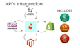 expert API integration for seamless ecommerce