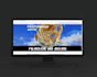create and realize a beautiful website homepage