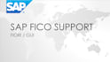 provide you sap fico support