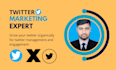do organic twitter marketing to increase your account