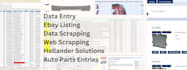 provide accurate auto parts data entry and hollander mapping services