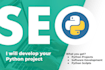 develop your python programming projects