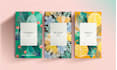 design tea packaging, tea label and tea box designs