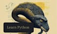 be your personal python tutor and mentor