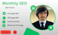 provide affordable monthly SEO packages or services, all in one services