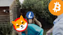 do face swap, nft head swap, crypto meme head swap in video