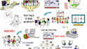 create a custom whiteboard animation explainer video