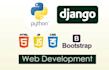 develope a professional web site for you using django