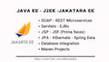 do jee, java ee coding, jpa, jsf, pure code in 24h,