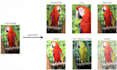 do data annotation, augmentation and manipulation on images dataset