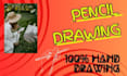 draw beautiful scenery and animal pencil sketches