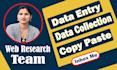 assist data entry web research data collection email collection data research