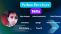 building dynamic premium business web applications using python and django