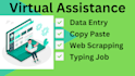 do data entry typing work in excel spreadsheet