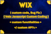 develop custom wix velo code, databases wix website