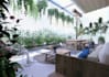 do front yard, back yard and roof garden design